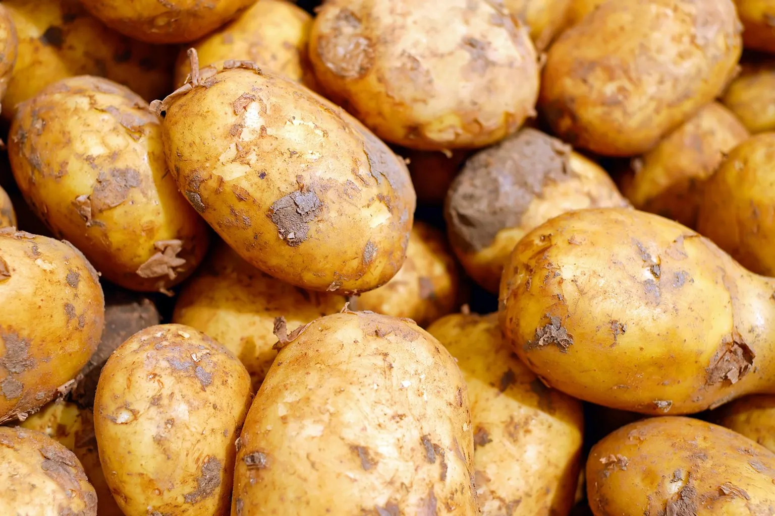 Продукты для здоровья глаз: рекомендации офтальмолога